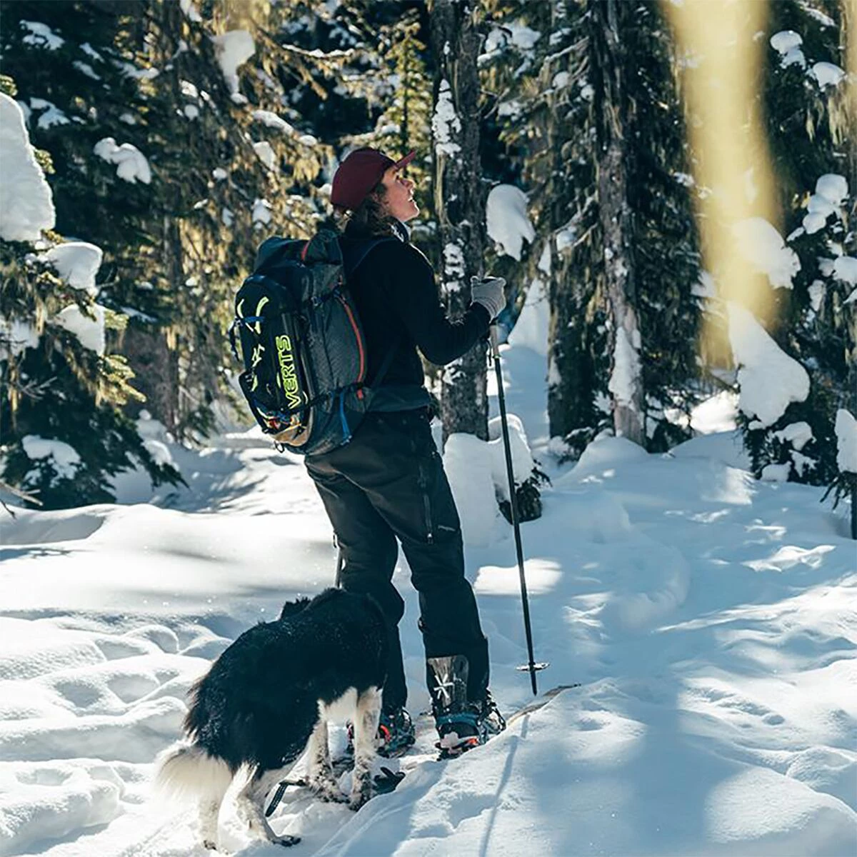 Promo 🥰 Arbor Climbing Skins Angusta Universal Splitboard Skin 👏 - Image 6