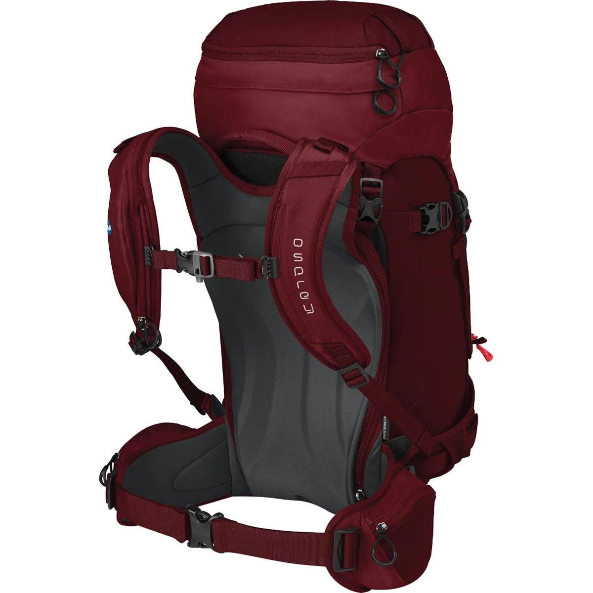 Top 10 π Osprey Packs Men's Technical Daypacks Kresta 40L π Backpack Women's β€οΈ - Image 3