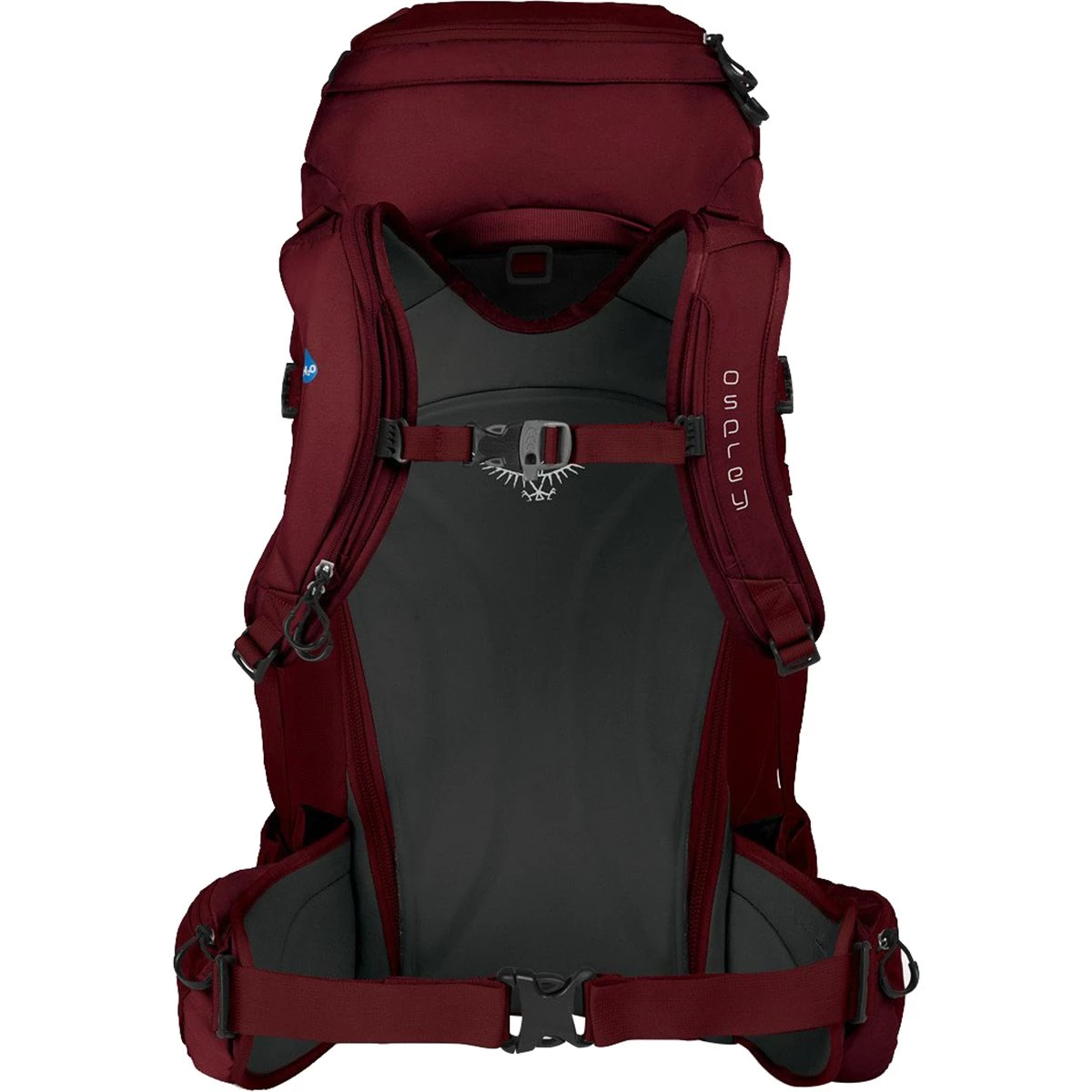 Top 10 π Osprey Packs Men's Technical Daypacks Kresta 40L π Backpack Women's β€οΈ - Image 2